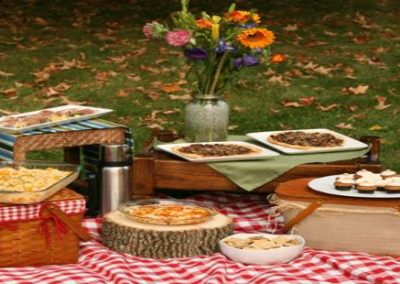 July Chapter Picnic – July 23, 2017 4pm to Evening